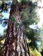 IMG_8807.jpeg
