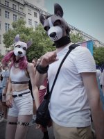 3dogs.jpg