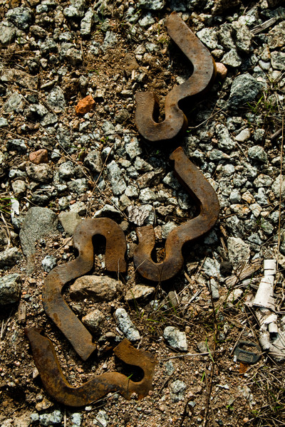 _img900.jpg