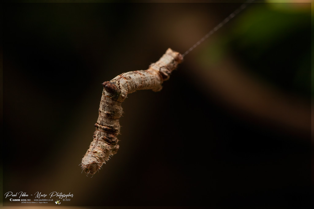 stick_a_4k_1800-XL.jpg