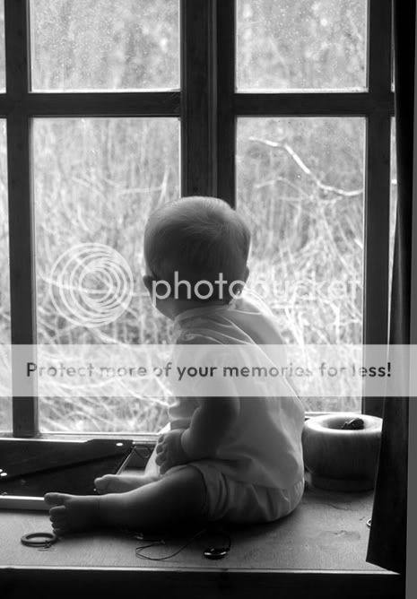 window1.jpg