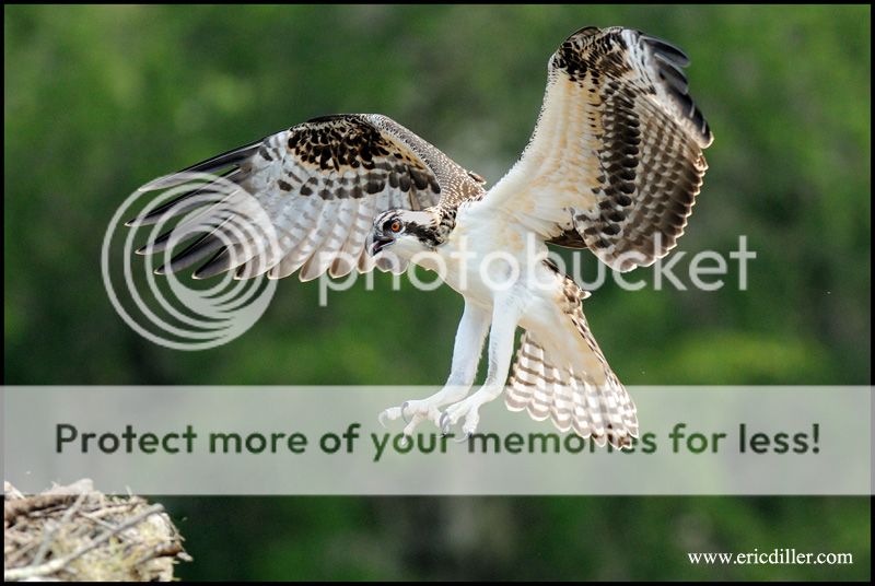 PIC_6560copy.jpg