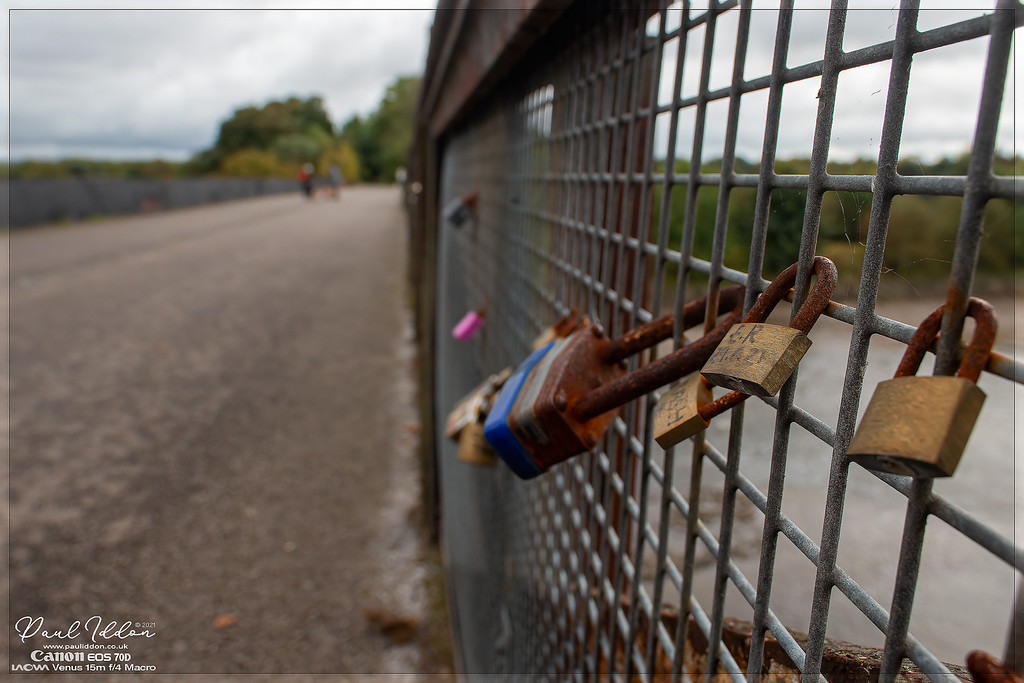 rustypadlock1_4k_1800-XL.jpg