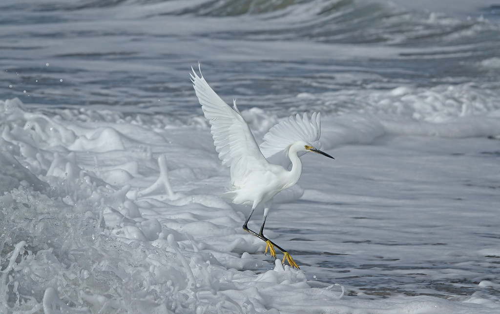DSC05288-XL.jpg