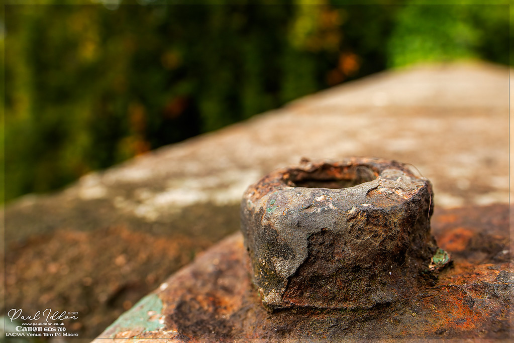 rustynut_4k_1800-XL.jpg