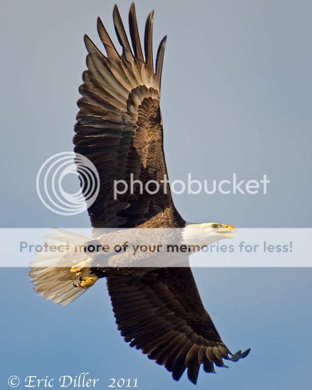 _ECD4847-copy800.jpg