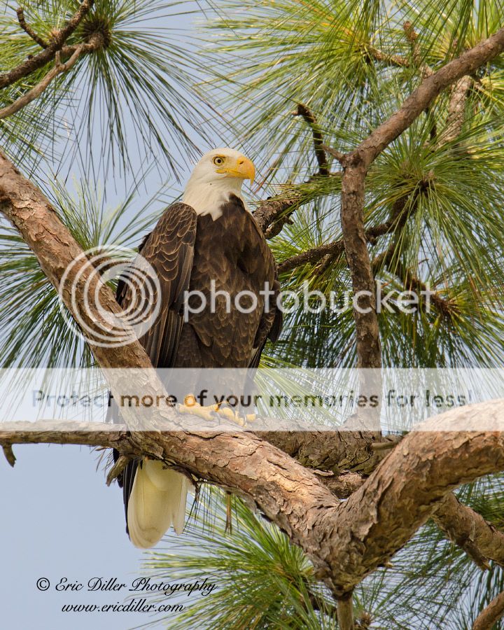 _ECD5302-copy900.jpg