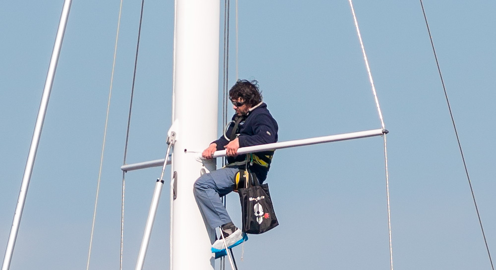_NCL0333_LRcrop100.jpg