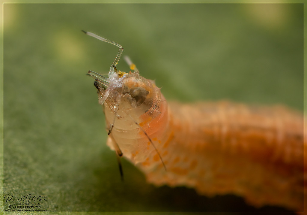 eat_4k_1800-XL.jpg