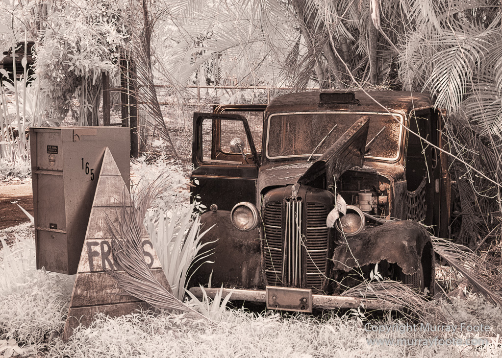 dscf7203-edit-edit.jpg