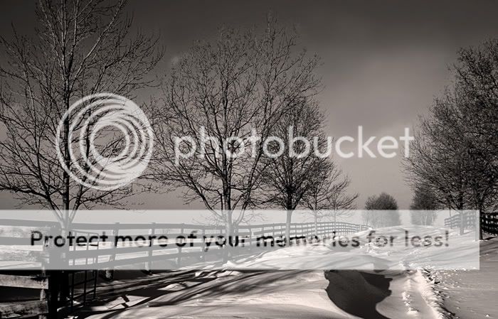WinterPaddocksb-w700.jpg