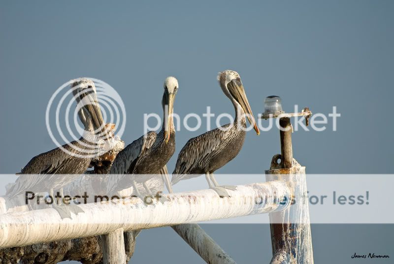 0830_fishing_5472.jpg