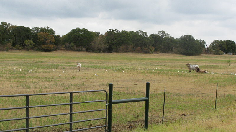 DAK_G02889R800.jpg