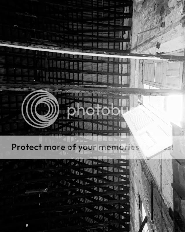 _MG_1093_bw.jpg