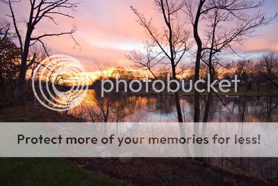 GC_Rogers_backyard-for-web.jpg