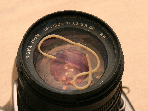 Noodle_point_E07924R.jpg
