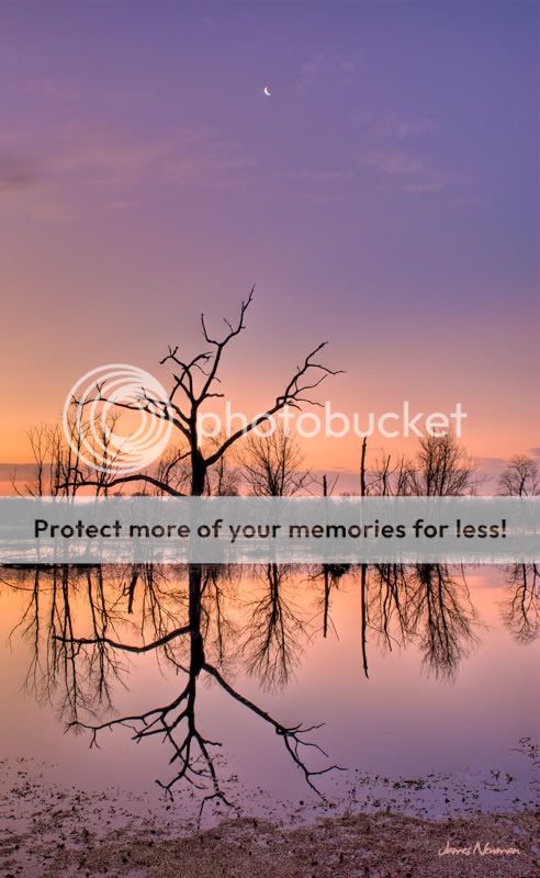 SunriseReflections.jpg