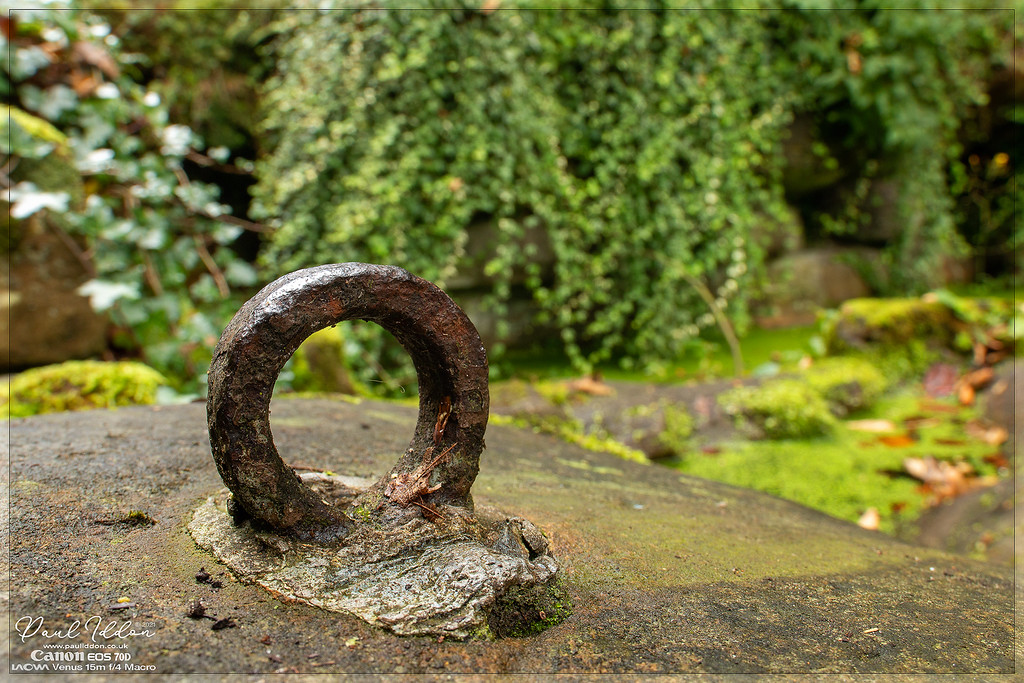 rustyring1_4k_1800-XL.jpg
