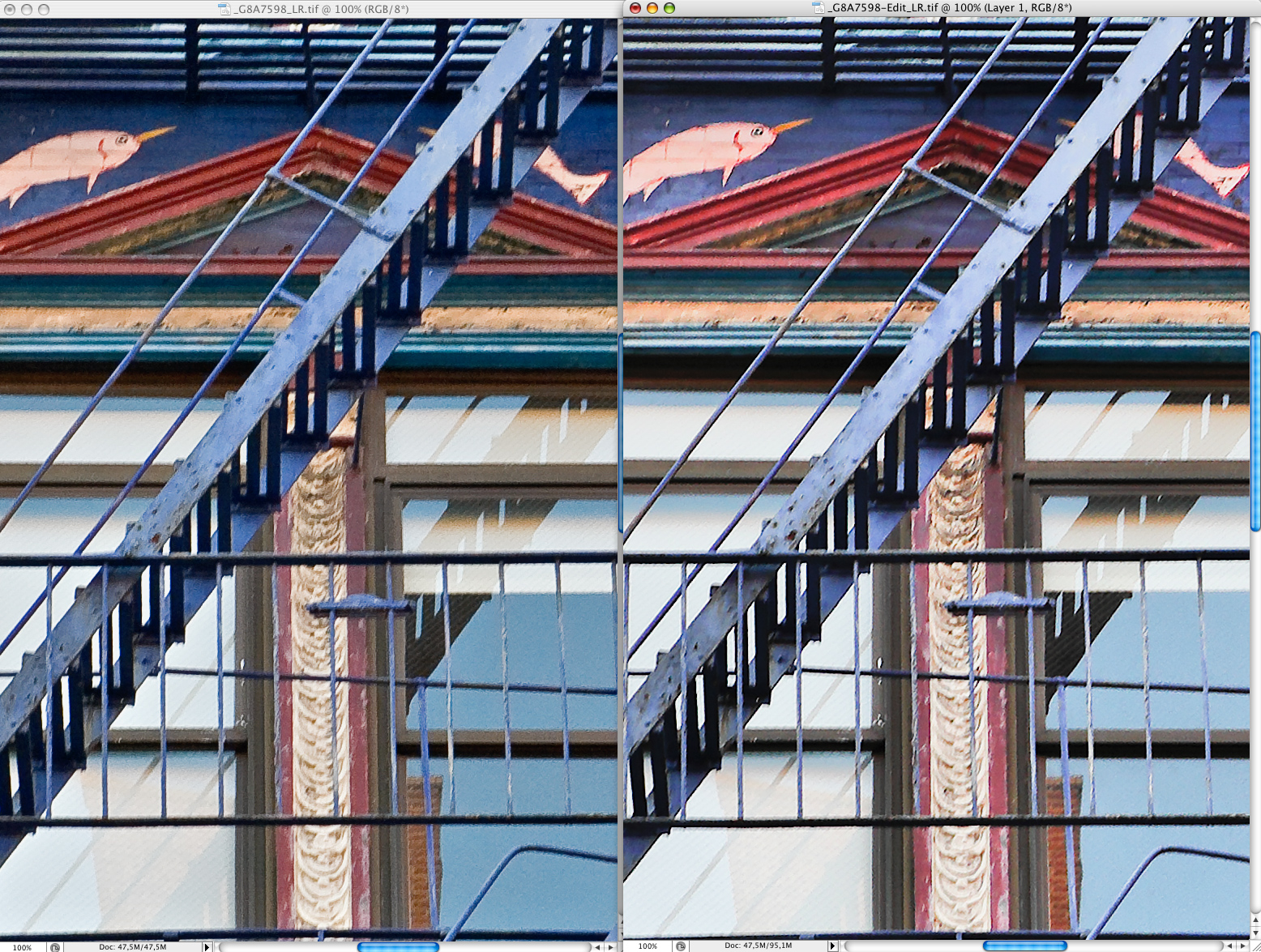 100P100crop.jpg