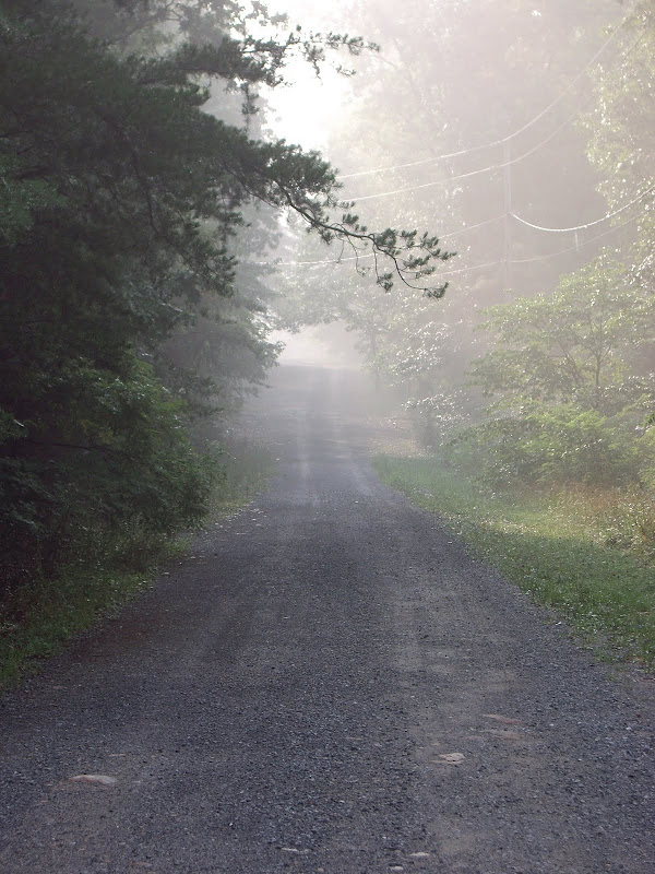 road.jpg