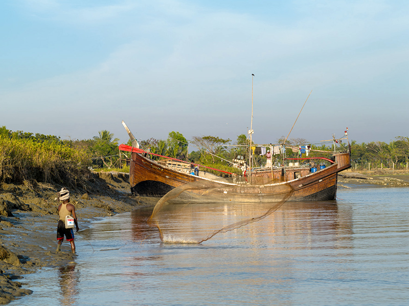 _NCL6849.jpg