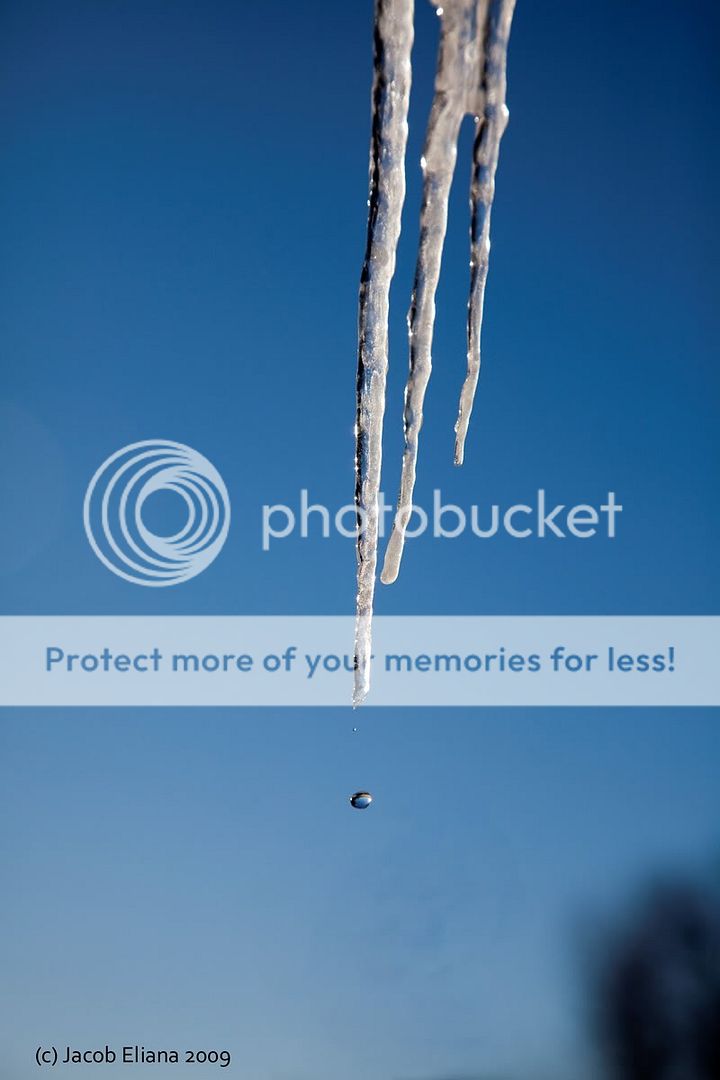 drop800x1200.jpg
