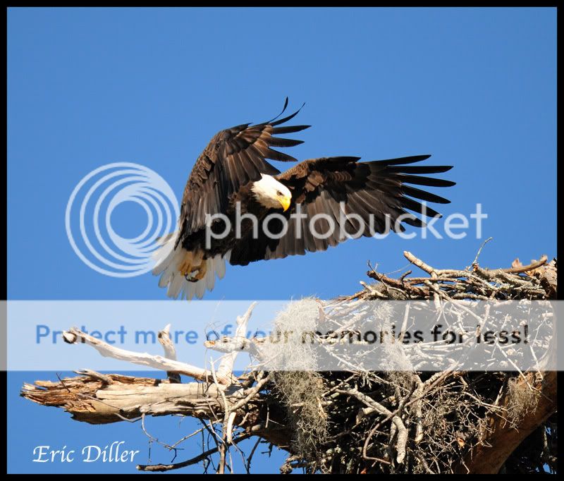 PIC_9644copy.jpg