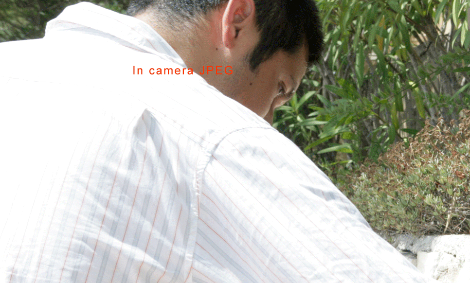 _G8A9301_detail.gif