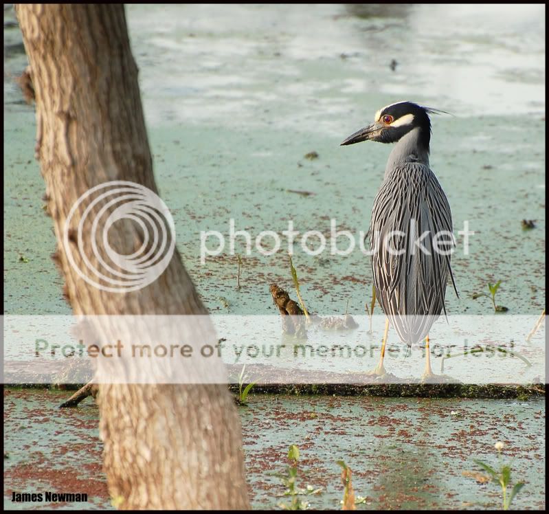 DSC_5883.jpg