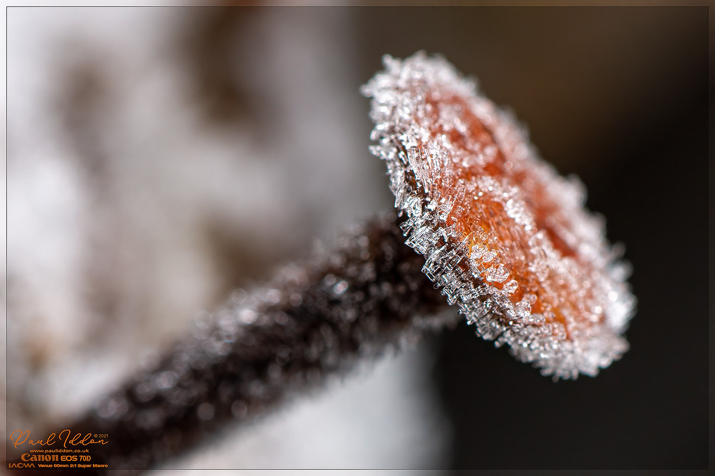 icenail_4k_1800-XL.jpg