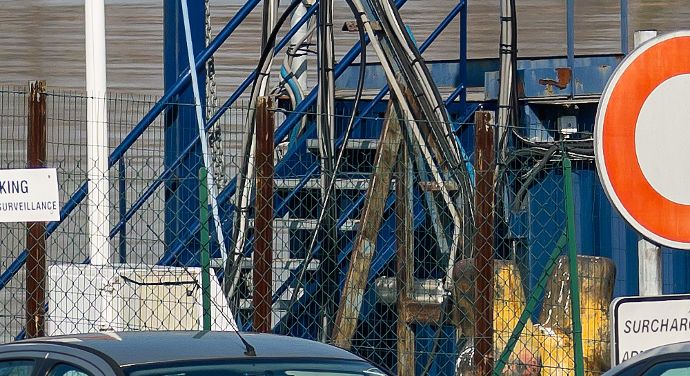 _NCL0333_LRcrop100c.jpg