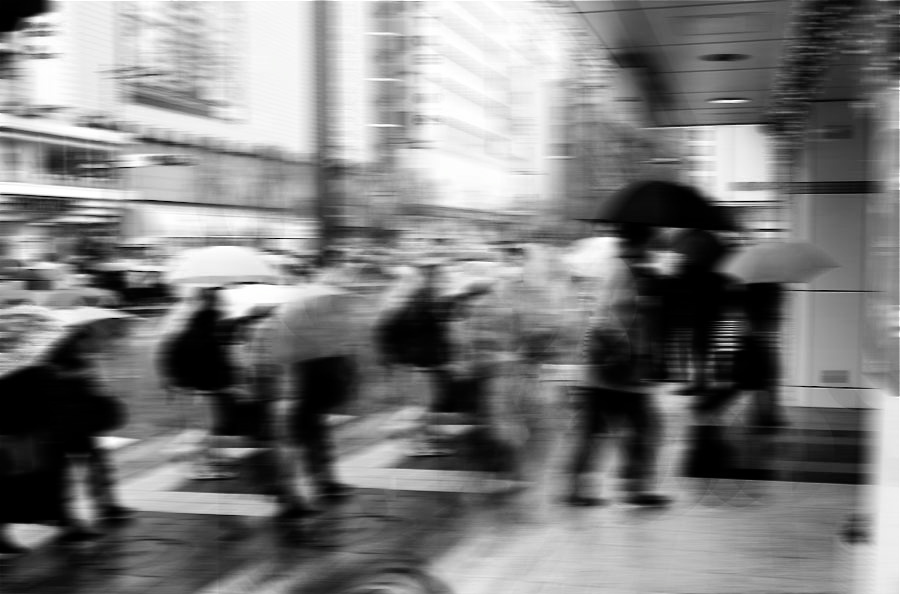 p670586762_2_2.jpg