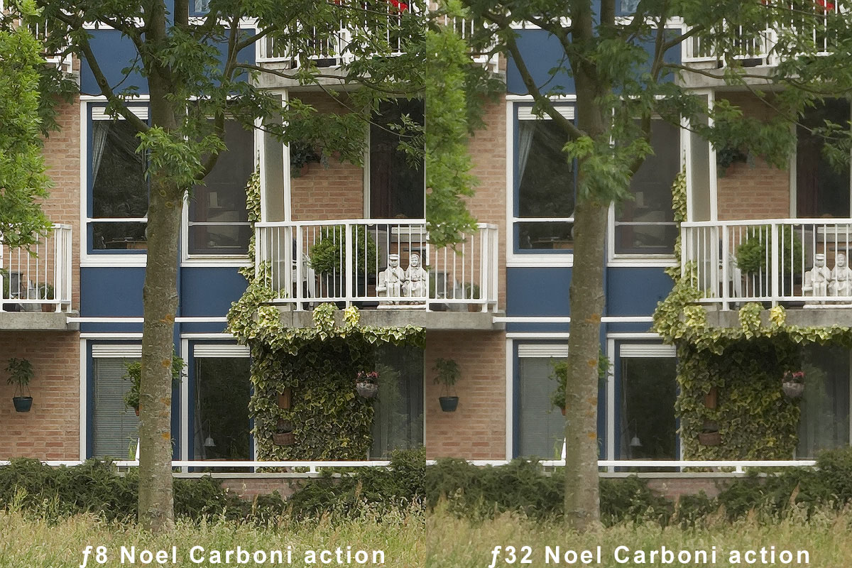 OPF_Deblur_Carboni.jpg