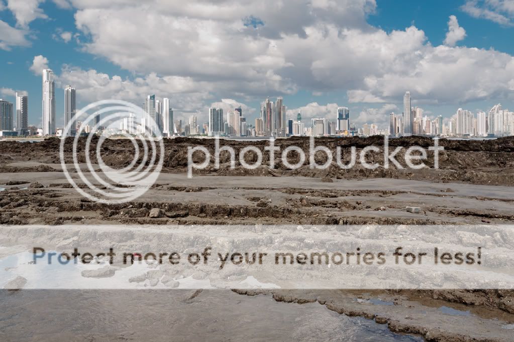 _MG_7059_web.jpg