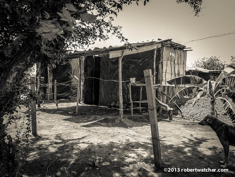 20130410-104941.jpg