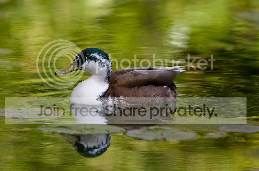 _H0X1236.jpg