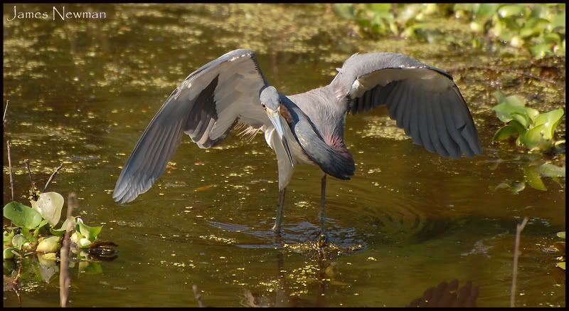 DSC_5422.jpg