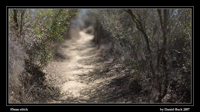 DOF_testing_03.jpg