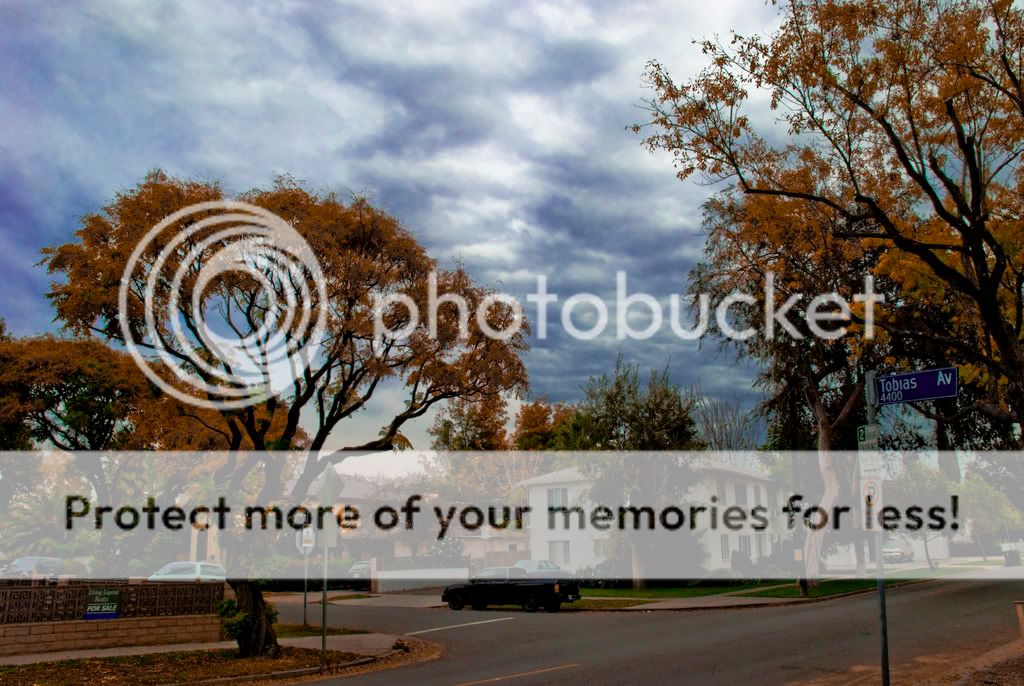 moorpark.jpg