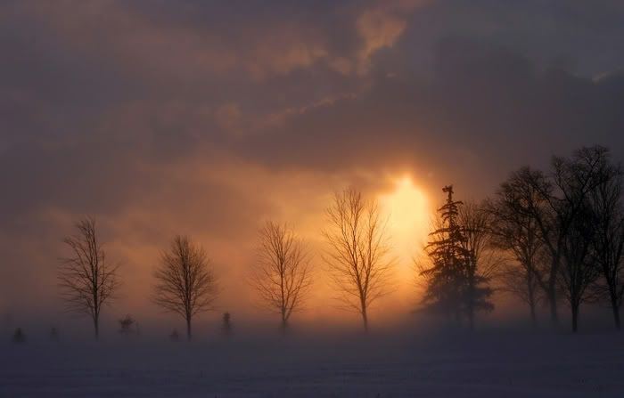 BlizzardSunset700px.jpg