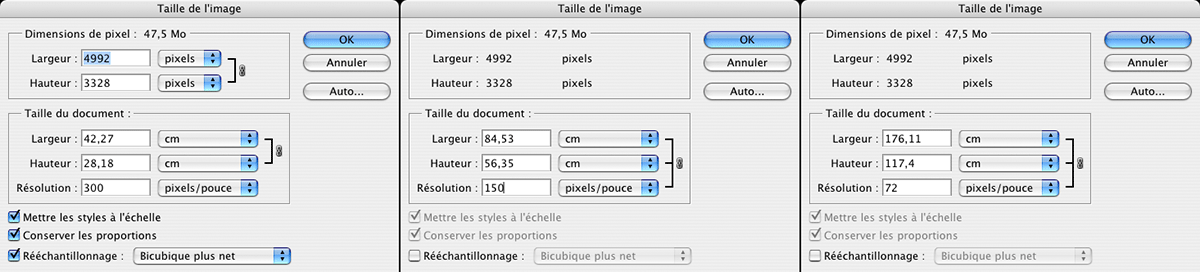 size.gif