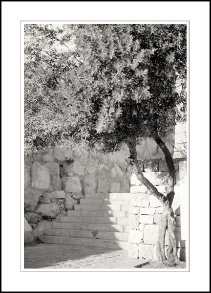 remembrance_steps.jpg
