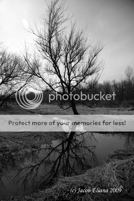 3517bw.jpg