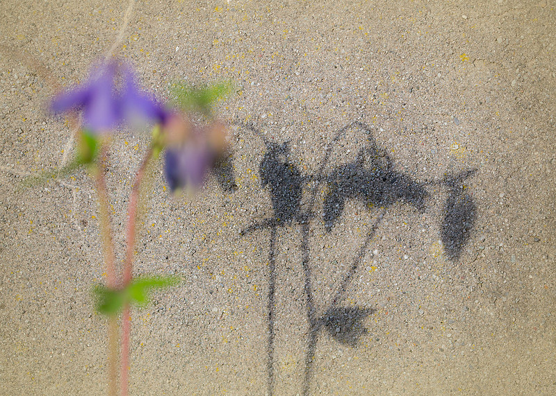 p1022052035-4.jpg