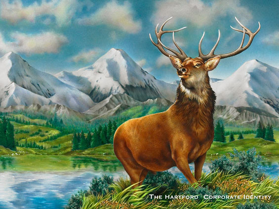 hartford-stag.jpg