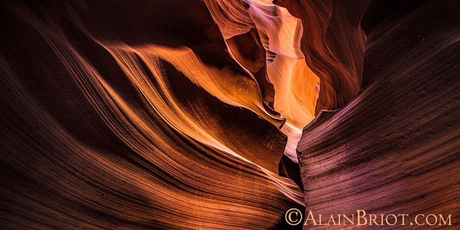 P45-Antelope-Spring-2013.jpg
