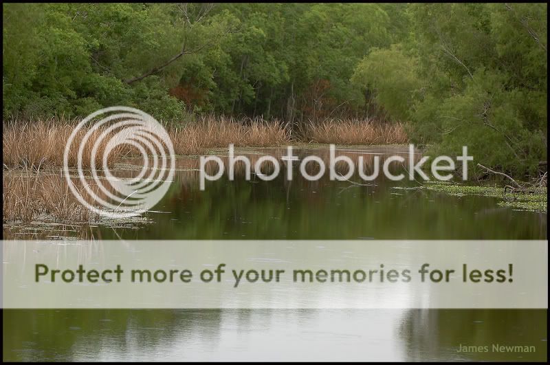 scenic1.jpg
