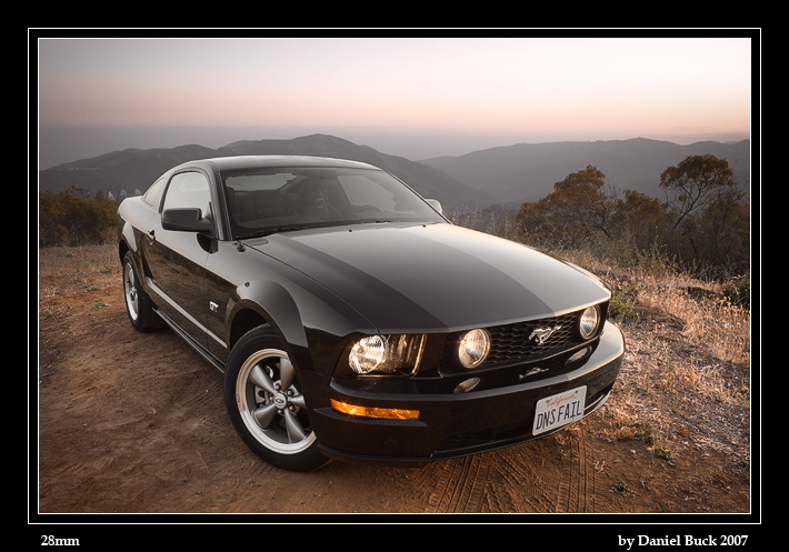 sycamore_mustang_01.jpg