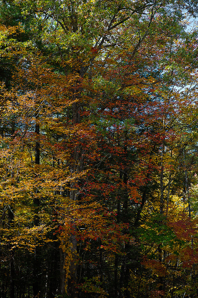 p3209030132-6.jpg
