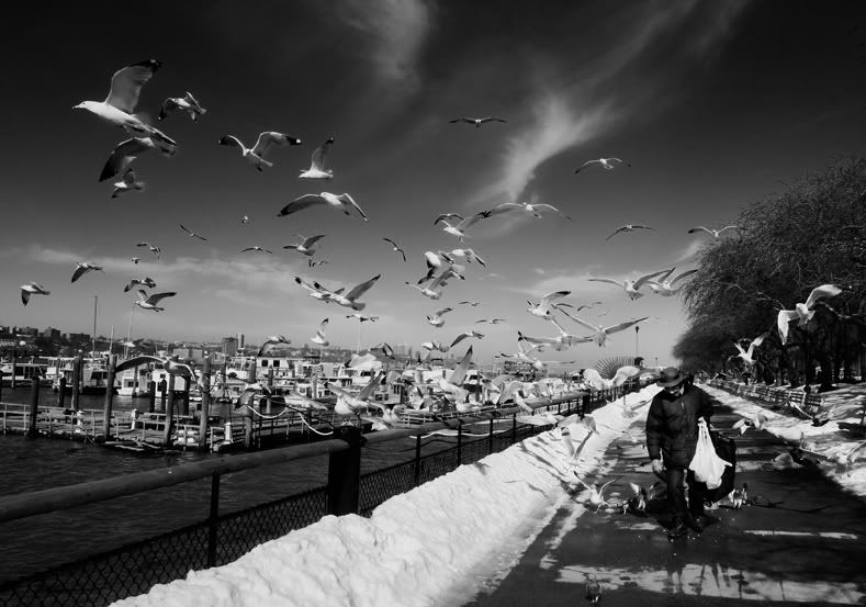 IMG_0837_a.jpg